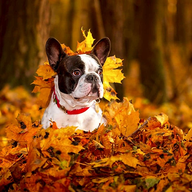 Moving into Winter, One Step at a Time