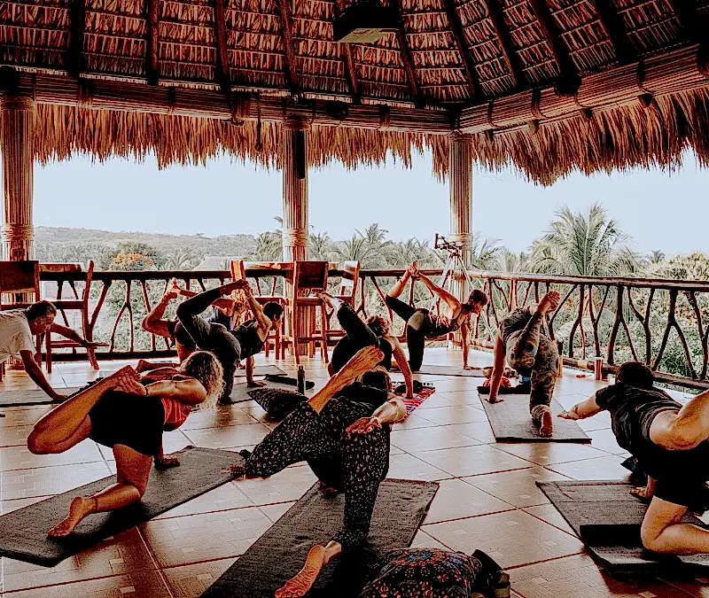 5 Reasons to do your Yoga Teacher Training with Us
