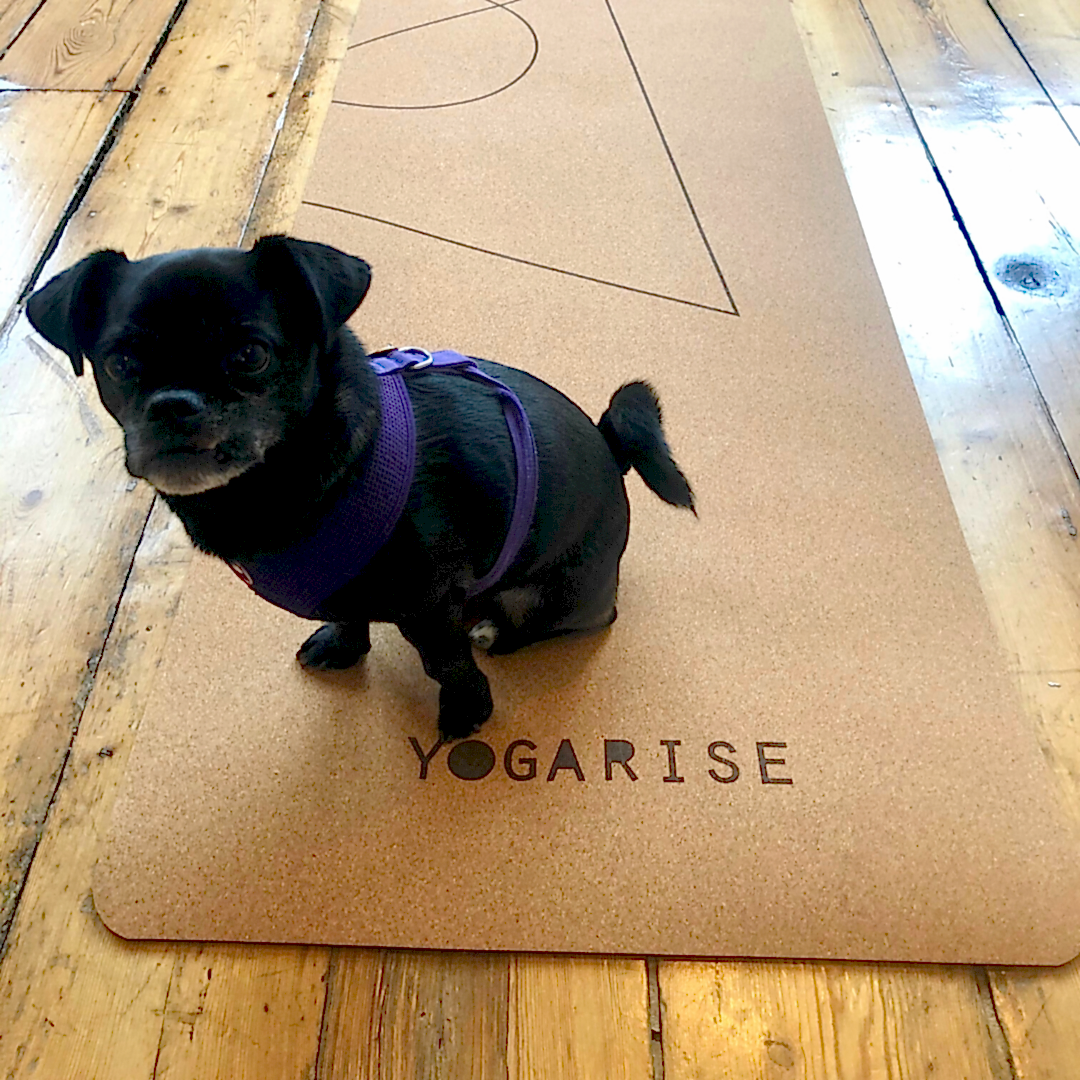 Yogarise Cork Yoga Mat! Get yours!